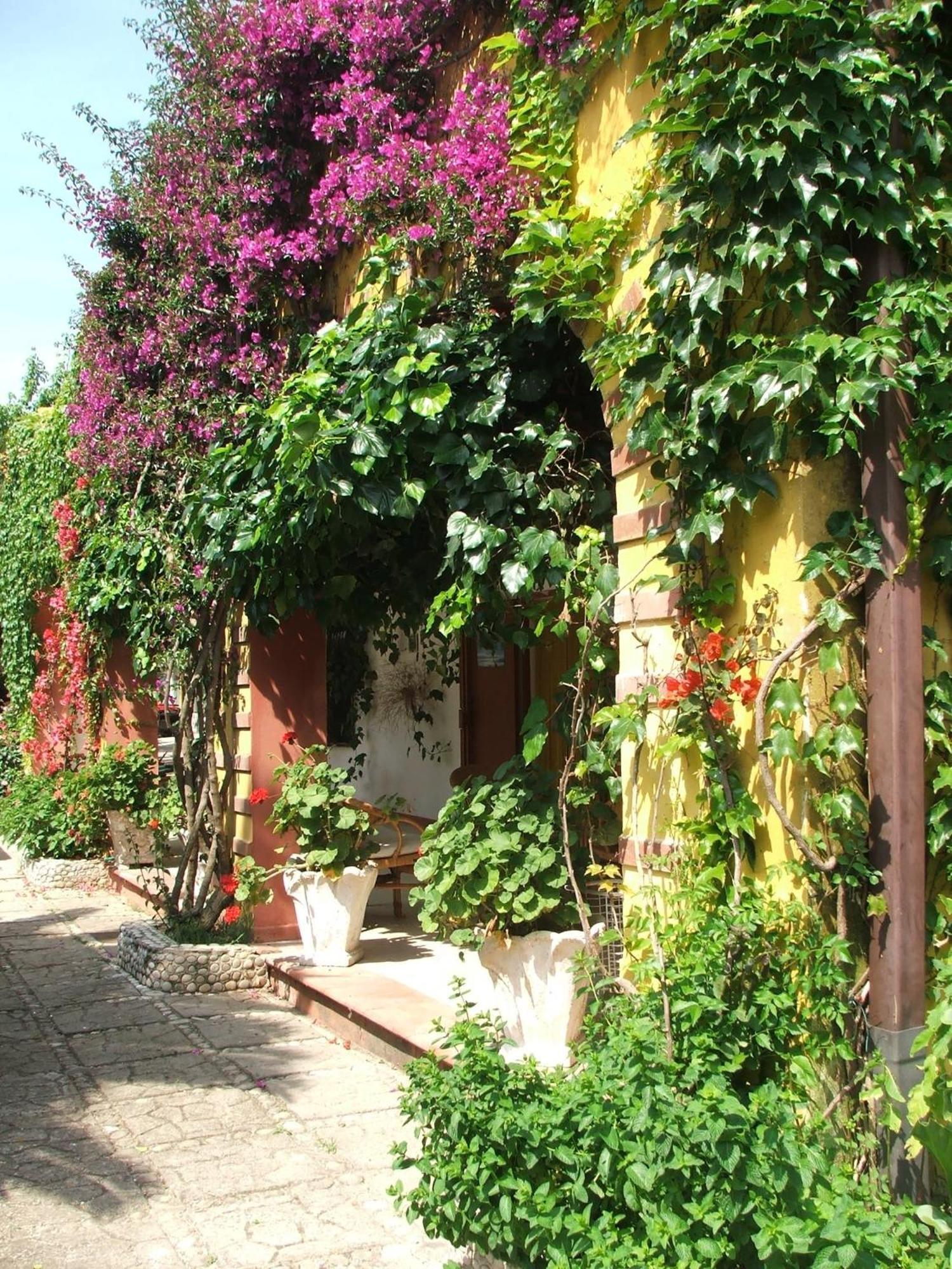 Agriturismo Posta Pastorella Vieste Ruang foto